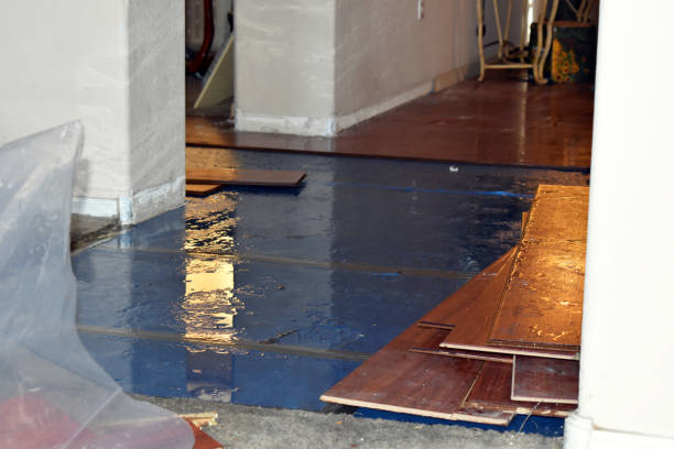 Professional Water Extraction technician working in Garrett, TX